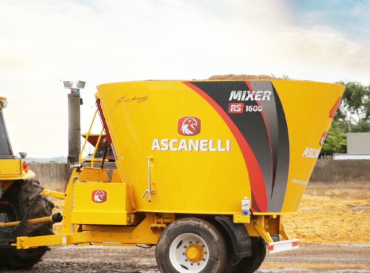 Mixer Ascanelli RS 1600, año 0