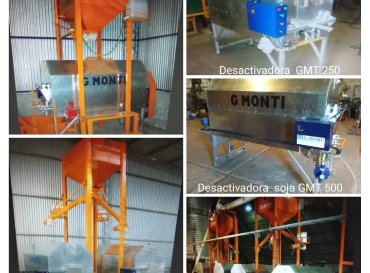 Infraestructura Golfredo Monti Gm2000, año 0