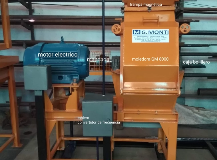 Moledora Golfredo Monti Gm6500, año 0