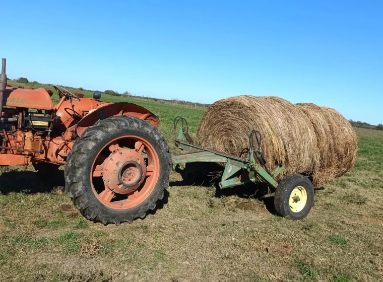 Tractor Fiat 481 R, año 1964