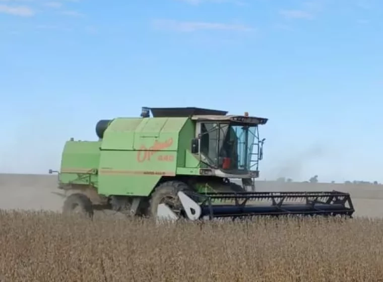 Cosechadora Agco Allis Optima 440, año 2005