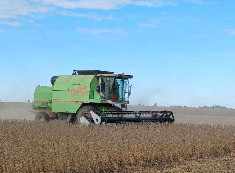 Cosechadora Agco Allis Optima 440, año 2005