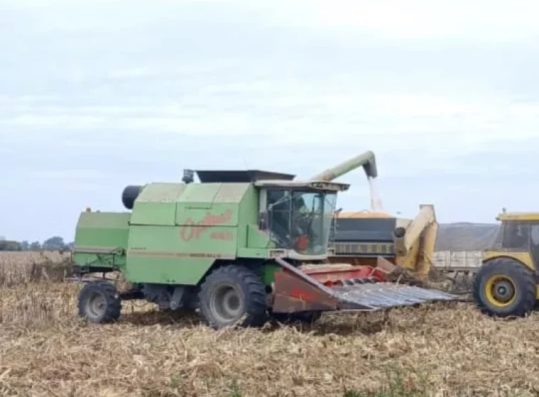 Cosechadora Agco Allis Optima 440, año 2005