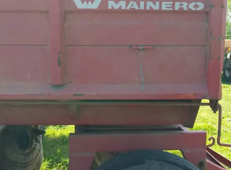 Tolva Mainero 7 toneladas, año 1
