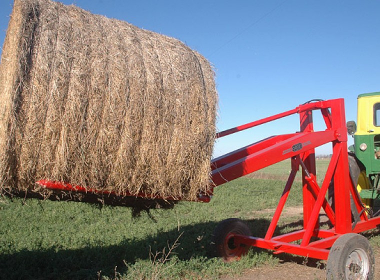 Transporte rollos Stefoni Cabezal hidráulico, año 0