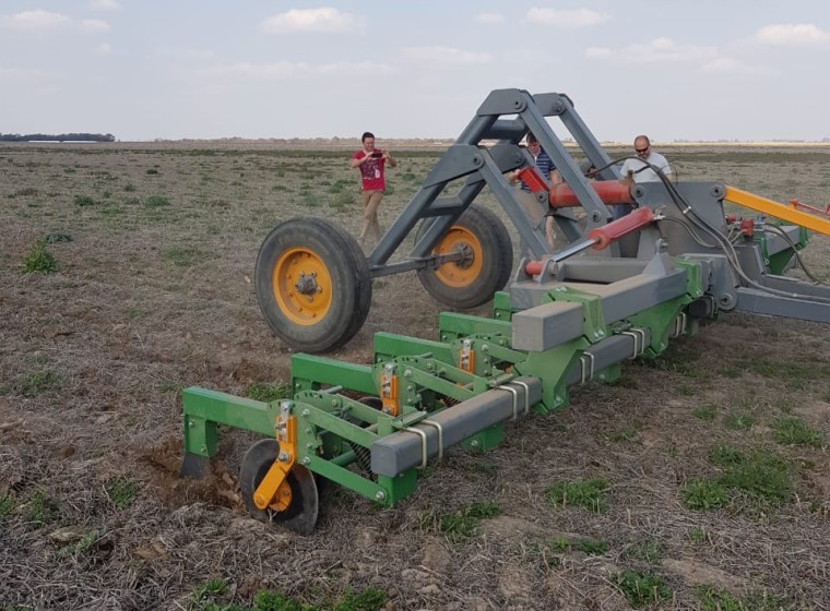 Labranza Agrotec Carpitec, año 0