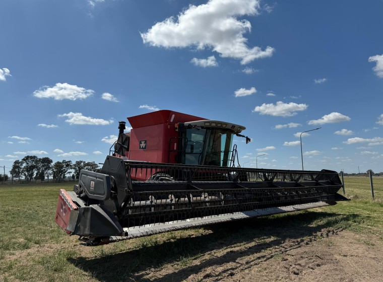 Cosechadora Massey Ferguson 9790, año 2008