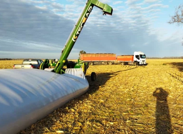 Extractora de cereales Tecsar autónoma EHM 370, año 0