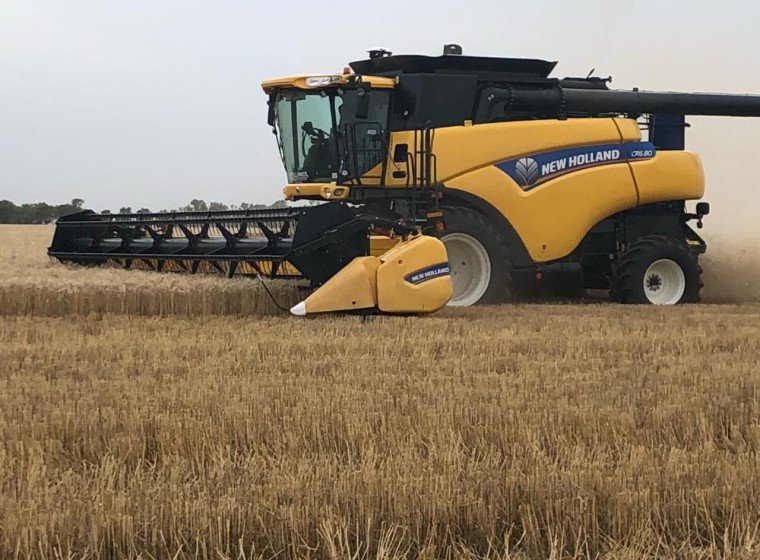 Cosechadora New Holland CR 6.80, año 2019