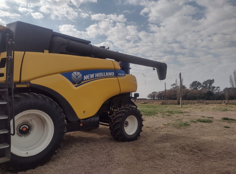 Cosechadora New Holland CR 6.80, año 2019