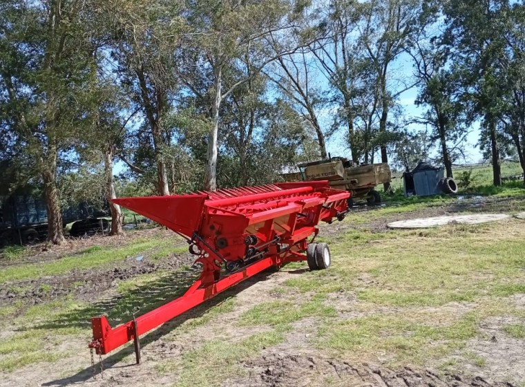 Cabezal Maizco GB12MF55, año 2001
