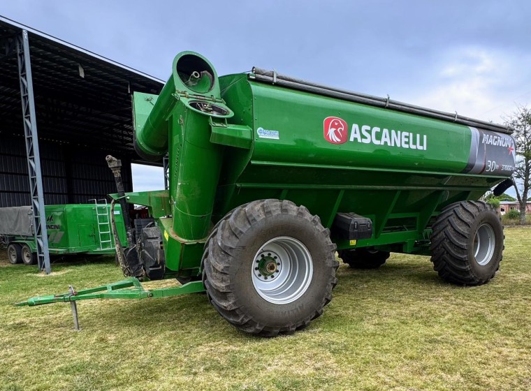 Tolva Ascanelli autodescargable, año 2025