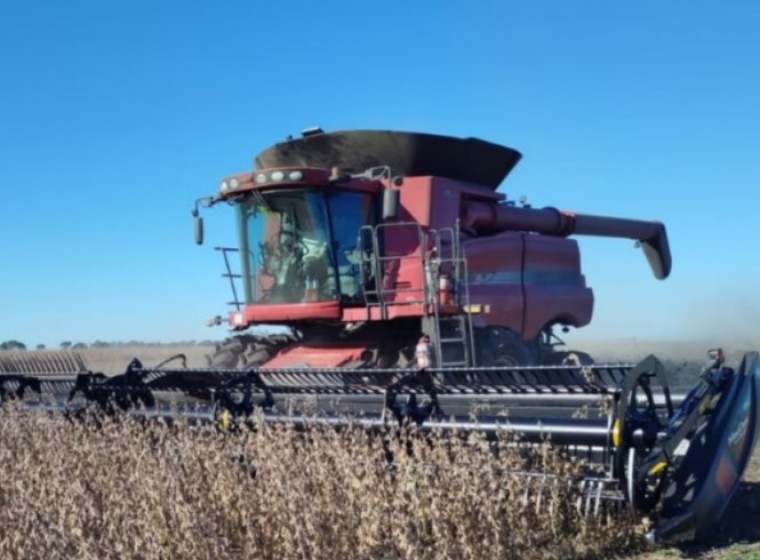 Cosechadora Case 8230 Extreme, año 2019