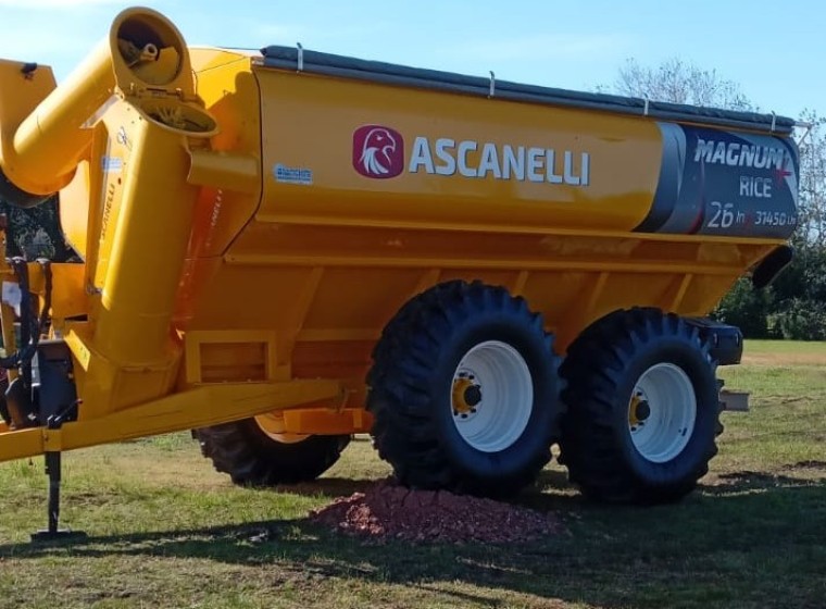 Tolva Ascanelli Tolva Magnum Rice, año 0
