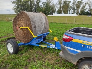 Transportador de rollos CFDT 1000 J. Har