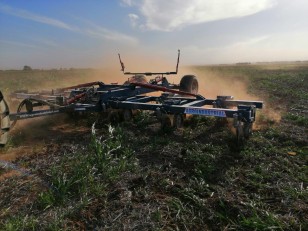 Carpidor Agroindustrial