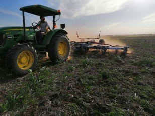 Carpidor Agroindustrial
