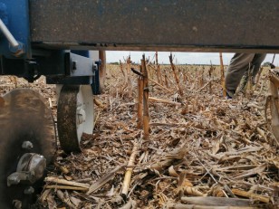 Carpidor Agroindustrial