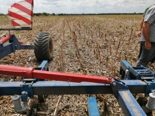 Carpidor Agroindustrial