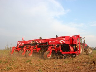 Sembradora Dolbi DX 2142
