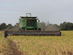 Cabezal draper hilerador DHF2000