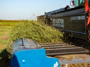 Cabezal recolector hilerador draper RHD-