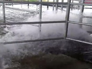 tanque para lavado de tambo