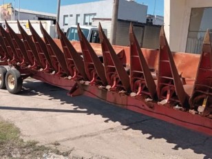 Cabezal maicero 51755 Mainero