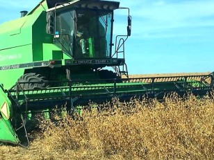 Cosechadora Deutz Fahr Optima S