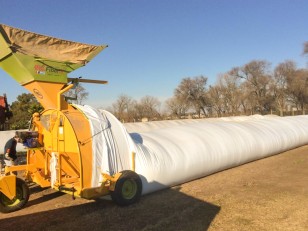 Embolsadora  de granos secos sin tractor
