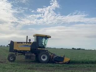 Segadora New Holland 8060
