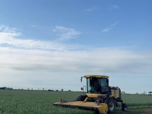 Segadora New Holland 8060