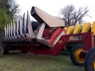 Cabezal Maicero Maizco