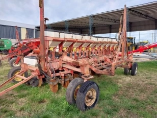Gringa III 1052