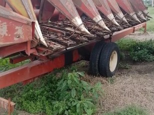 Maicero Mainero de 8 a 52