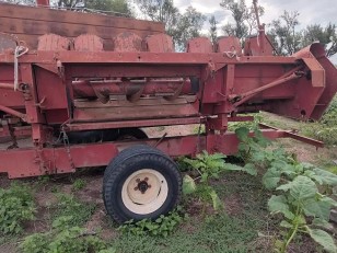 Maicero Mainero de 8 a 52
