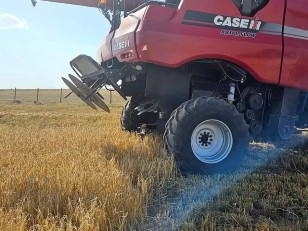 Cosechadora - Case IH - 7230
