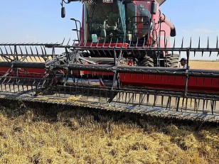Cosechadora - Case IH - 7230