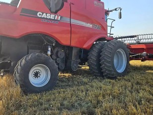 Cosechadora - Case IH - 7230