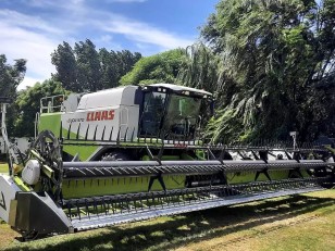 Cosechadora Claas Lexion 570
