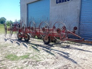 Rastrillo Balina de 14 Estrellas