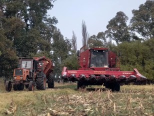 FEA 1500