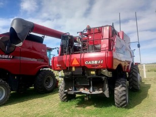 Cosechadora Case 5130 año 2017