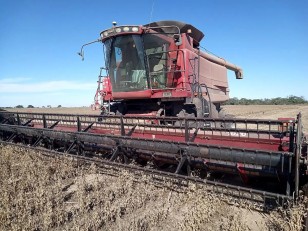 Cosechadora Case IH 2688 año 2010