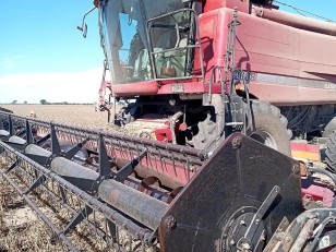 Cosechadora Case IH 2688 año 2010