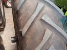 230