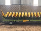 Cabezal Maicero Allochis 14/52 - año 202