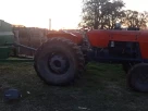 650