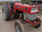 Massey Ferguson 165 viñatero/frutalero