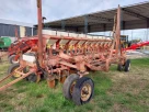 Gringa III 1052
